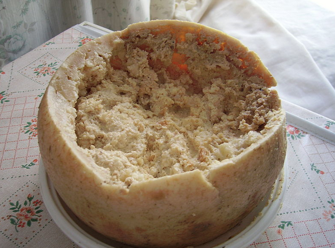 Casu Marzu cheese